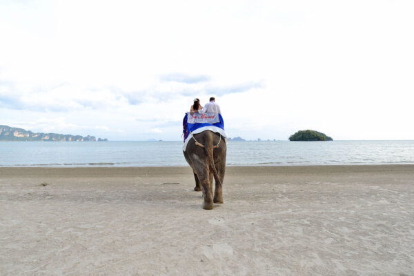 大象西式海灘婚禮