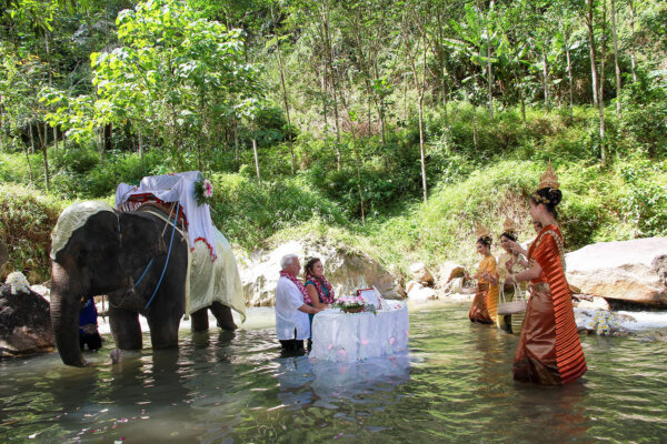 大象西式婚礼-国家公园